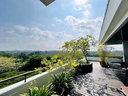 The Arcadia (D11), Condominium #591766491